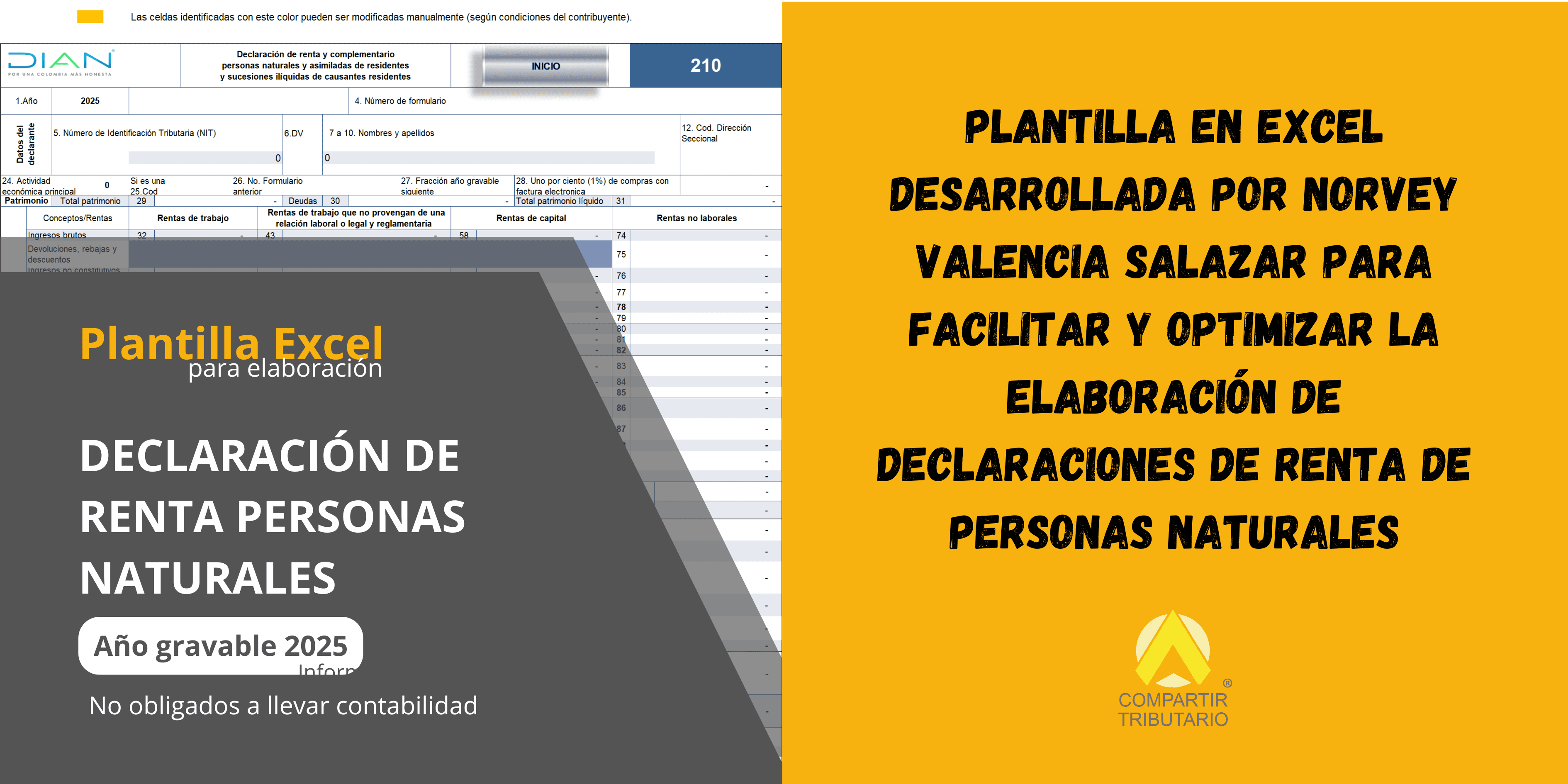 Plantilla excel para elaboración declaración de renta personas naturales